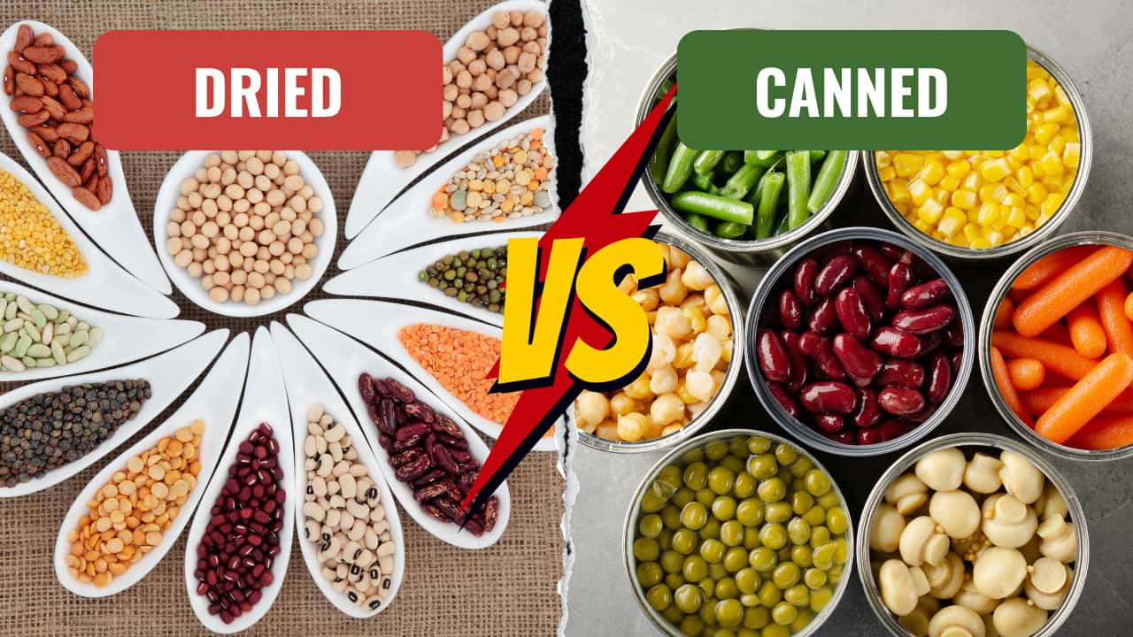 illustration featuring dried vs canned beans