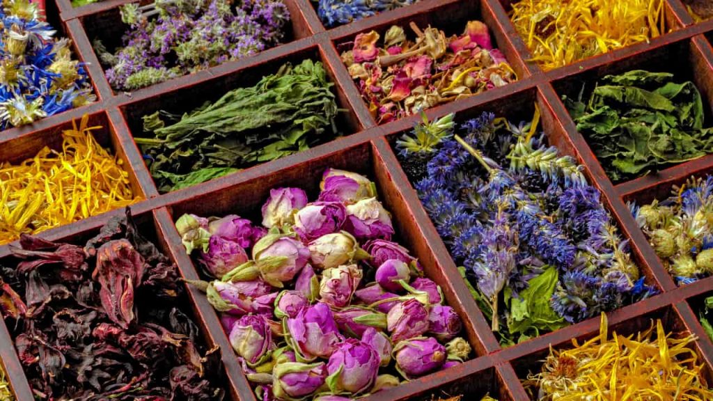 herbs used for making teas