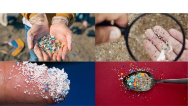 microplastics in hands