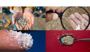 microplastics in hands