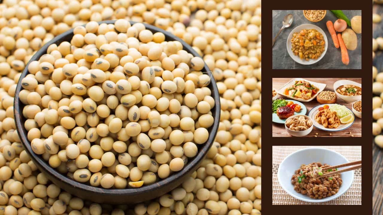 soybeans and soybean dishes