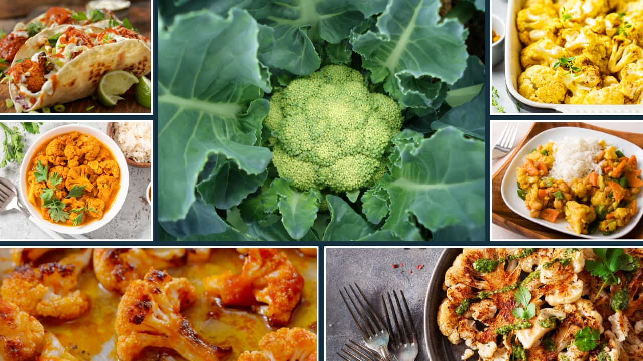 cauliflower dishes